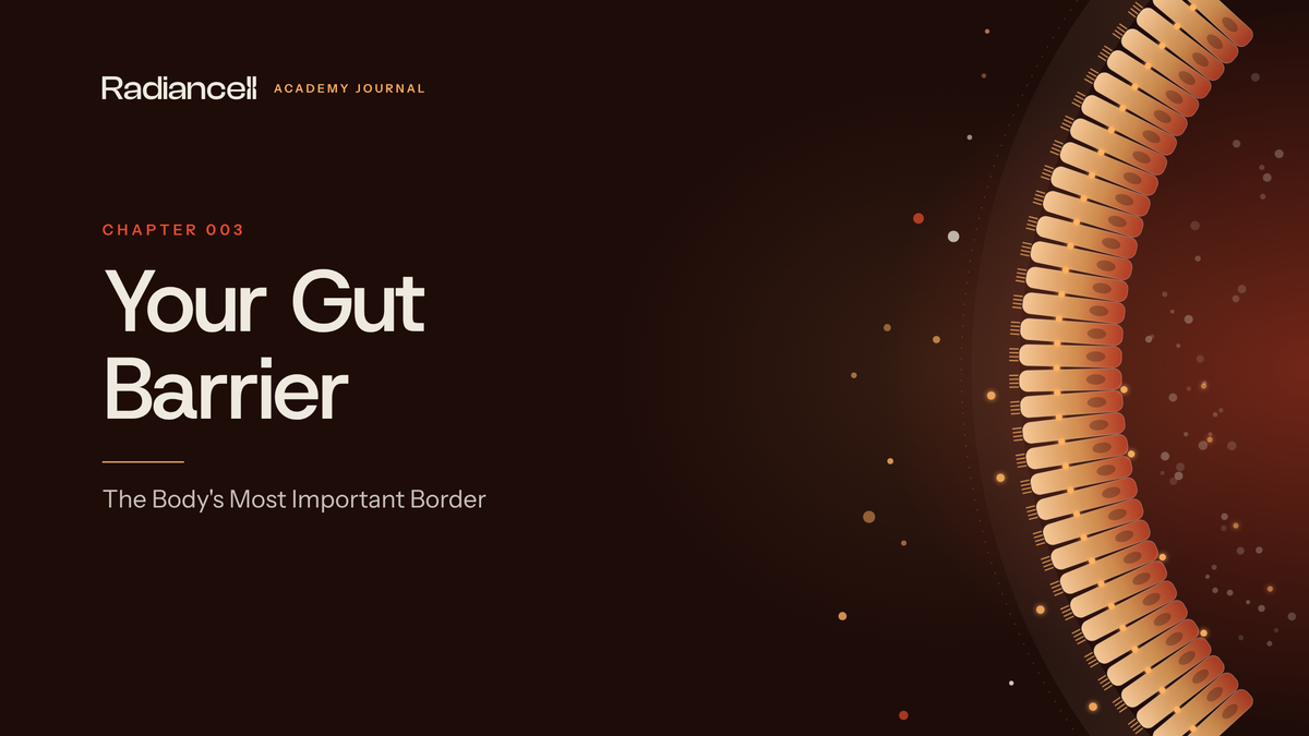 Your Gut Barrier
